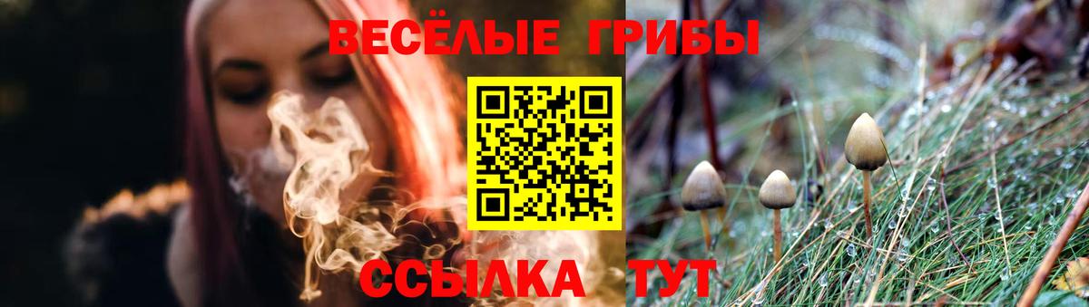 Псилоцибиновые грибы ЛСД  Вход с VPN  Прокопьевск 